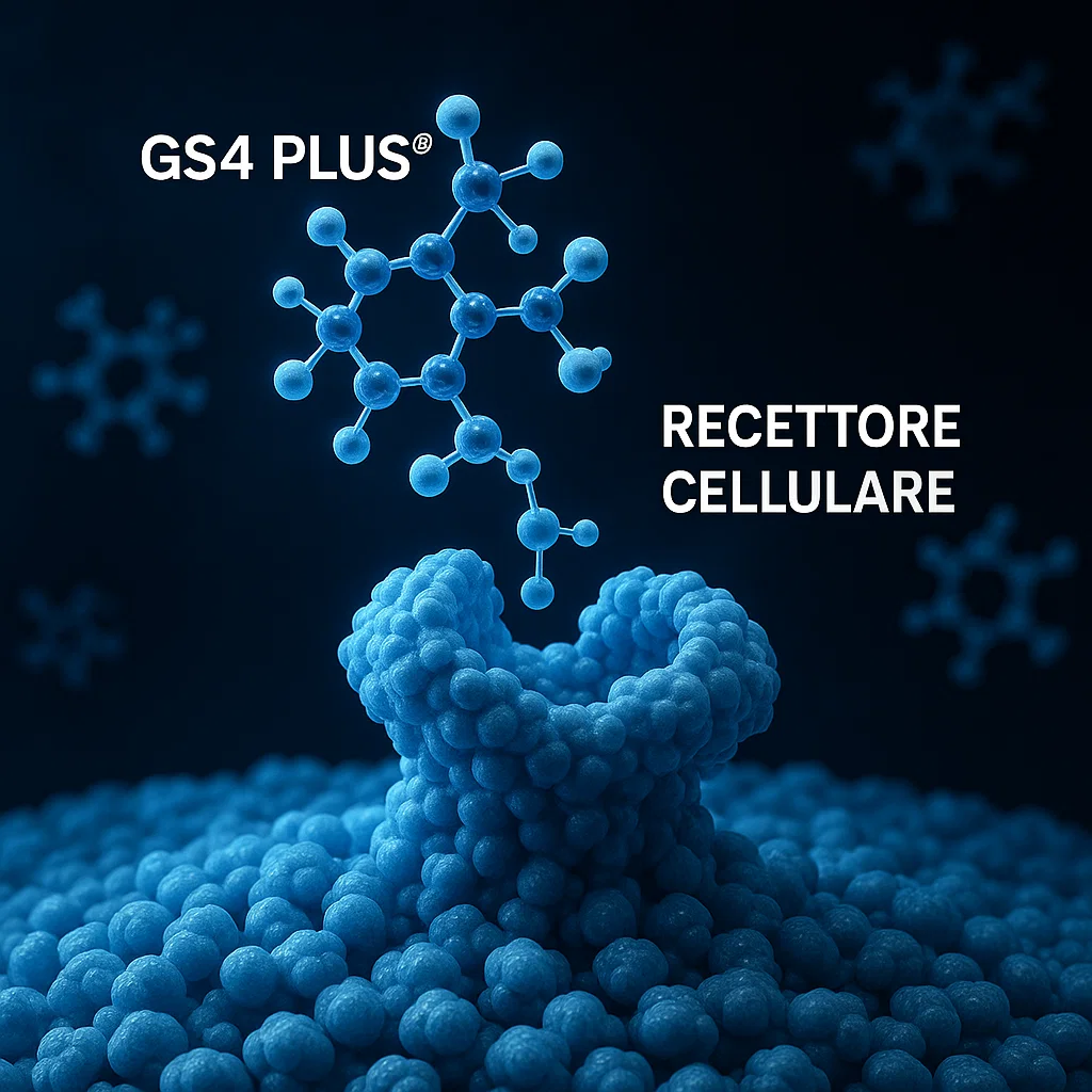 Visualizzazione scientifica della molecola GS4 PLUS®